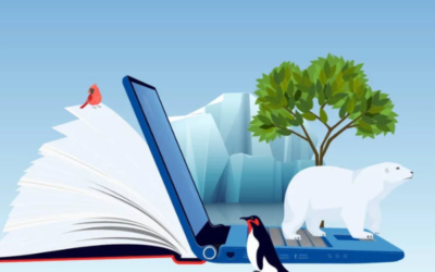 Papier et environnement : incompatibles ?